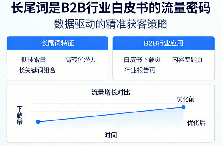 B2B行业Shopify白皮书长尾词植入策略